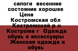 сапоги  весенние состояние хорошее › Цена ­ 10 000 - Костромская обл., Костромской р-н, Кострома г. Одежда, обувь и аксессуары » Женская одежда и обувь   